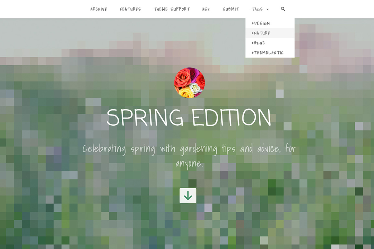 Pixelate Tumblr Theme, a Websites & App Template by Themelantic (Photo 5 of 5)