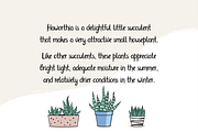 Haworthia. Multilingual Script Font., a Script Font by Cmeree (Thumbnail 3 of 7)
