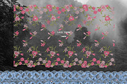 Silk & Paper: Textures & Frames, an Object Graphic by Purple (Thumbnail 14 of 20)
