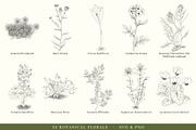 Botanical Floral Line Art Collection, a Decorative Illustration by AW Studios (Thumbnail 6 of 9)
