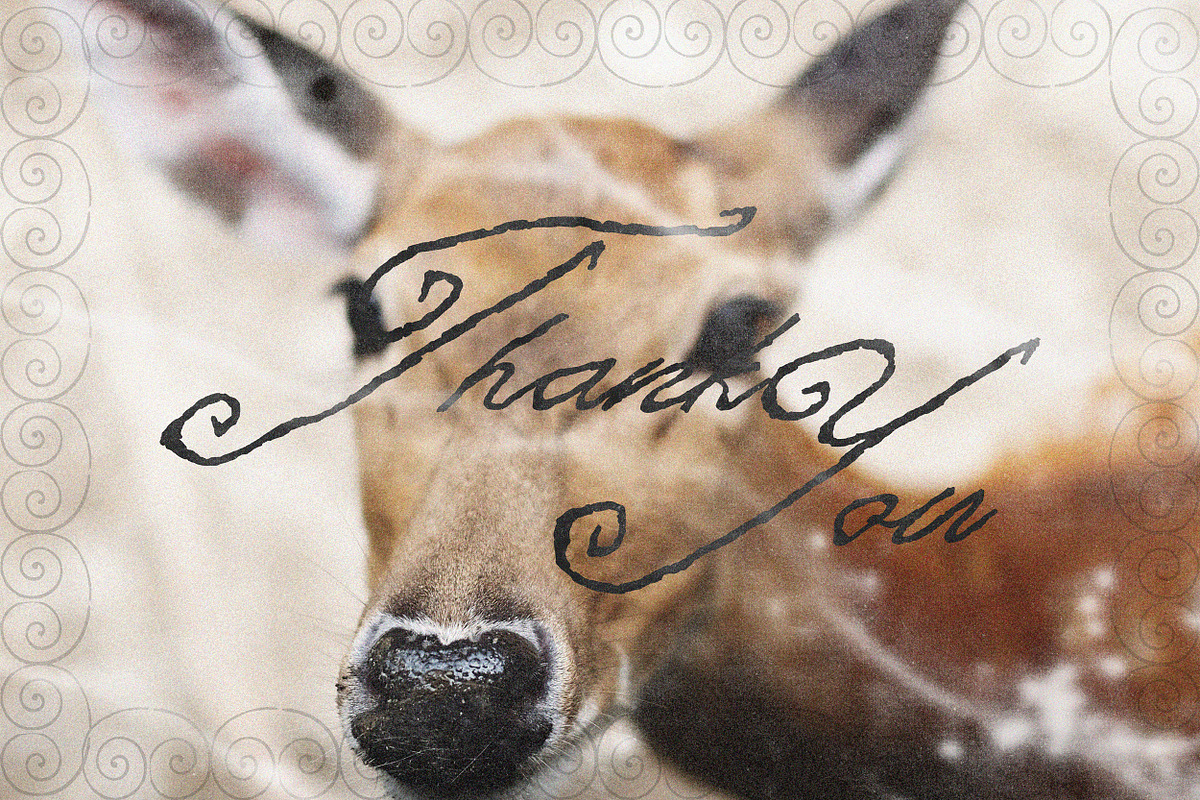 At First Sight Vintage Script Font, a Script Font by AnMark (Photo 13 of 13)