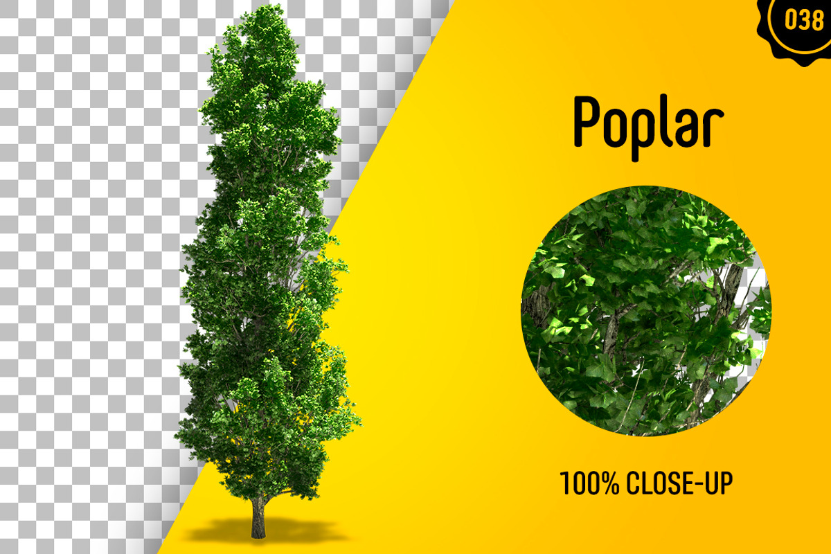 CUT OUT TREES - 60 PCS BUNDLE, a Packaging Mockup by 3DSTORE (Photo 39 of 63)