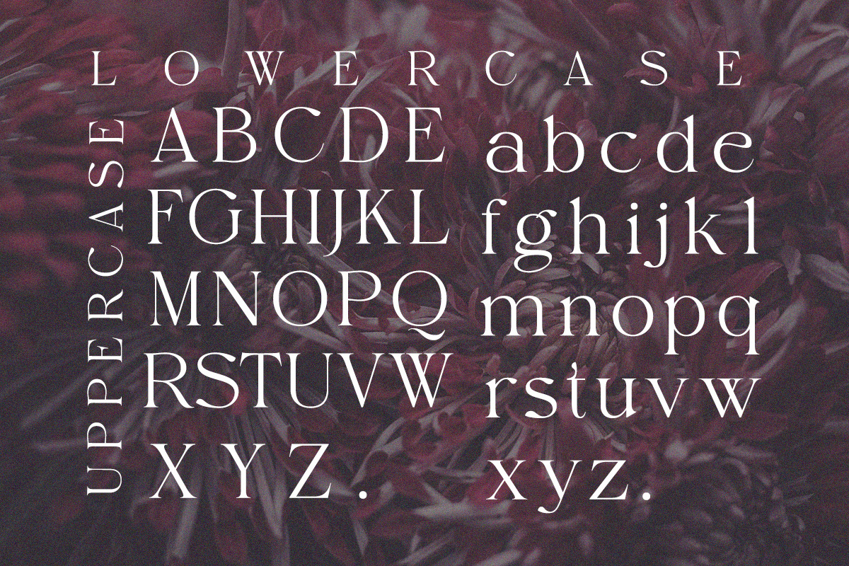 Elaine Dawn - Modern Luxury Serif, a Serif Font by Qweera Studio (Photo 11 of 12)