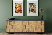 Rustic Pumpkin Garden, a Holiday Photo by pictures for you (Thumbnail 6 of 11)