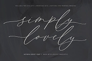 Astoria | Modern Calligraphy Script, a Script Font by Pink Coffie (Thumbnail 10 of 20)