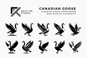 Canadian Goose Icon Vector, an Icon by Akatype Studio