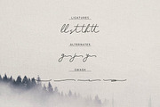 Pasttemy | Monoline Stylish Script, a Script Font by Denustudios (Thumbnail 13 of 15)