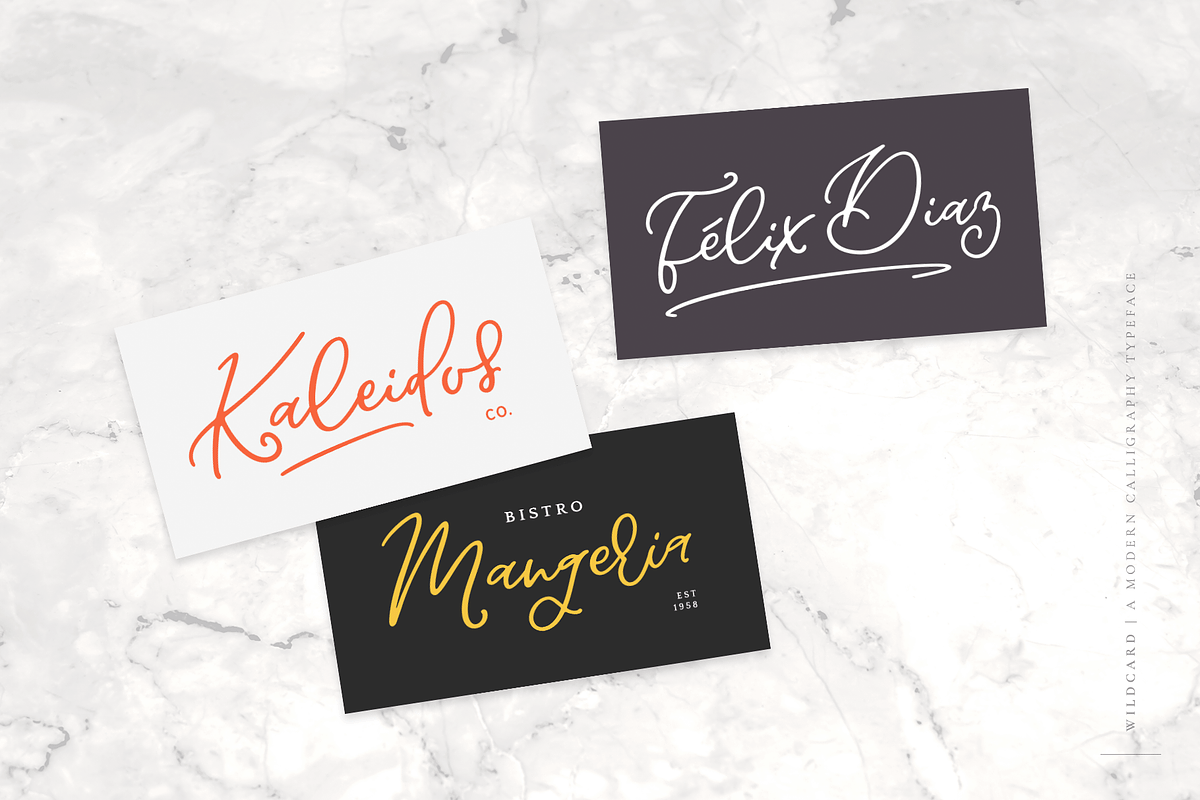 Wildcard | Modern Calligraphy Font preview 4