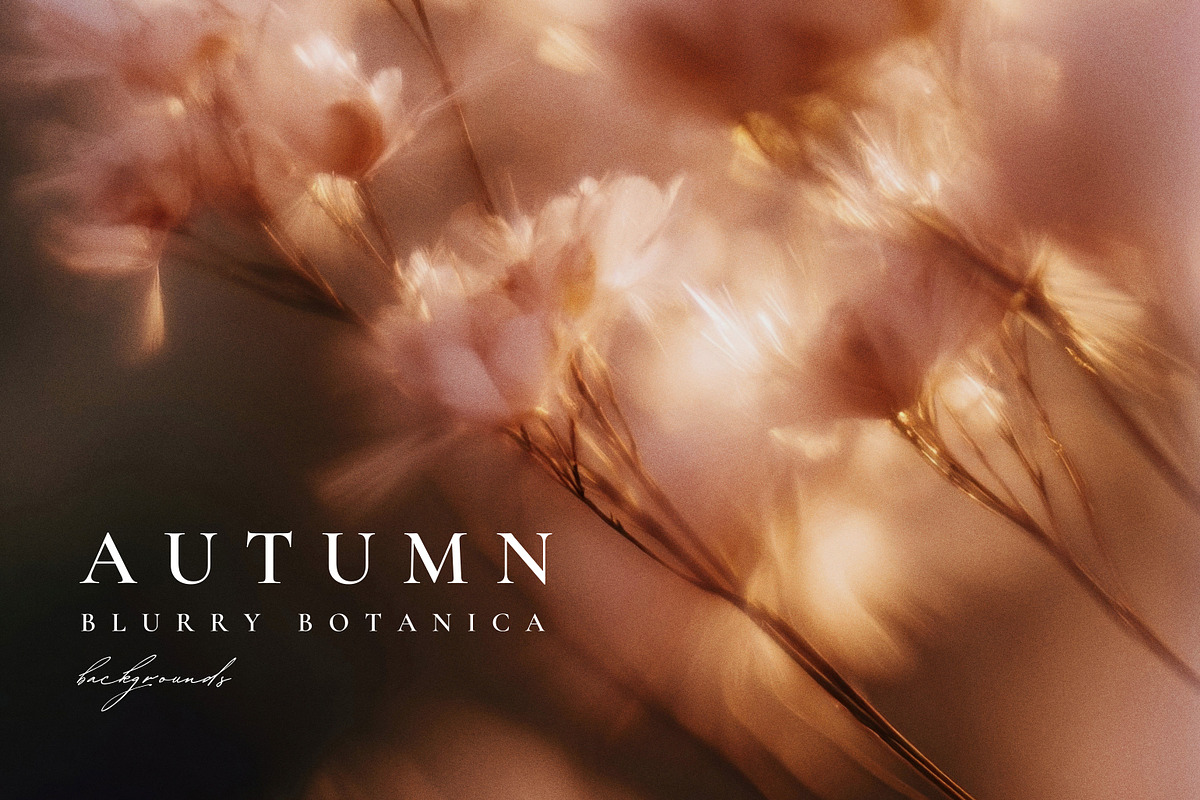 Autumn Blurry Floral Backgrounds, a Background Graphic by Altea Design Studio (Photo 2 of 15)
