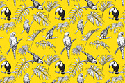 Tropical Birds Sketch, an Animal Illustration by Valentyna Smordova (Thumbnail 3 of 5)