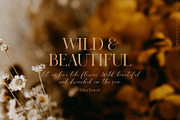 Lady Clementine wedding script fonts, a Serif Font by Angele Kamp (Thumbnail 5 of 10)