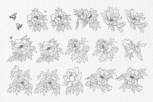 Stamp Brushes For Procreate Peonies