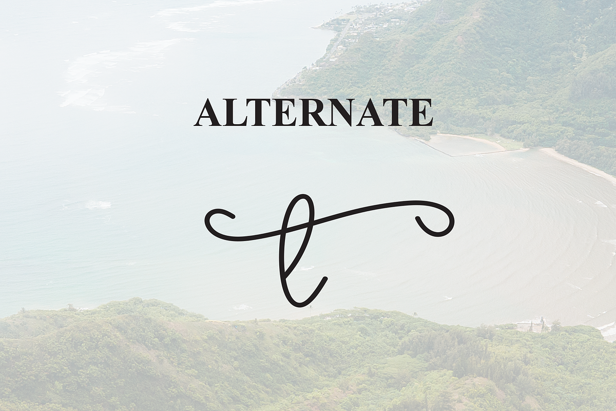 Southine | Script Font, a Handwritten Font by Scratchones (Photo 8 of 9)