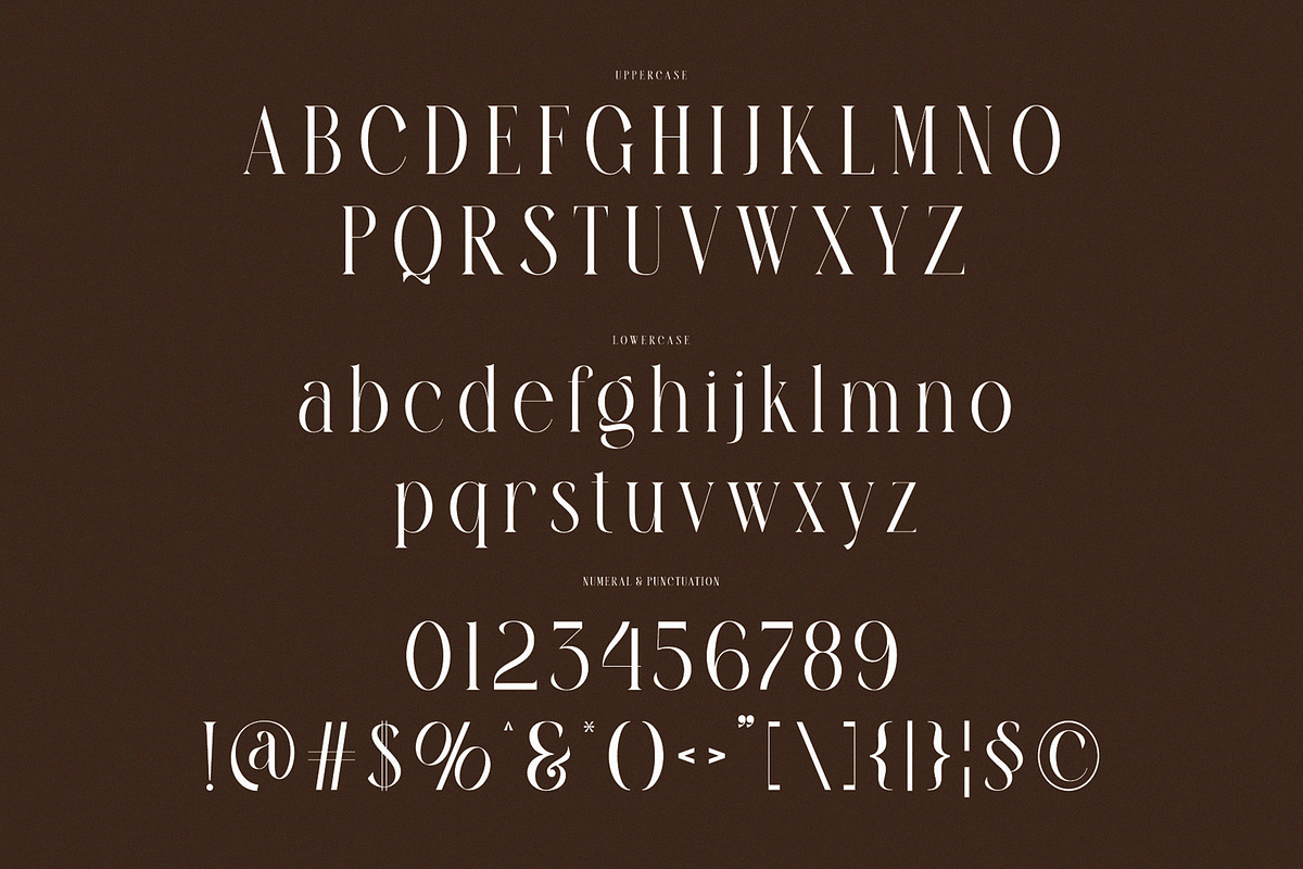 Sragih Elegant Ligature Serif, a Serif Font by Alfinart (Photo 6 of 8)