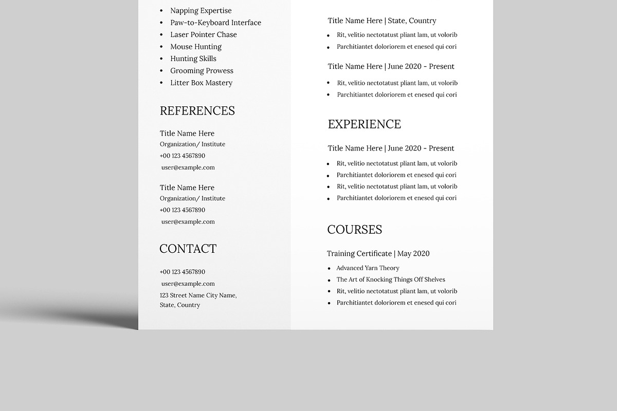 Cat Resume Template, a Resume Template by MightyDesign (Photo 3 of 8)