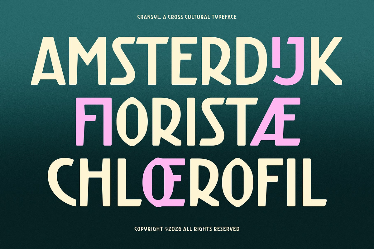 Cransyl, a Sans Serif Font by graphicook (Photo 7 of 10)