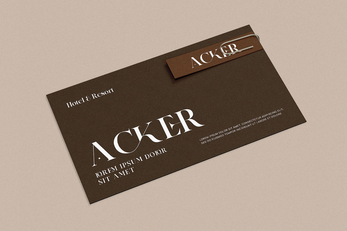 Rastings Macker Ligature Serif Font, a Serif Font by Graphicxell (Photo 8 of 10)