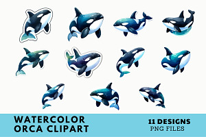 Watercolor Orca Clipart Illustration