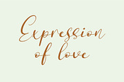 Leitucy Script Font, a Handwritten Font by Panatype™ Studio (Thumbnail 4 of 10)