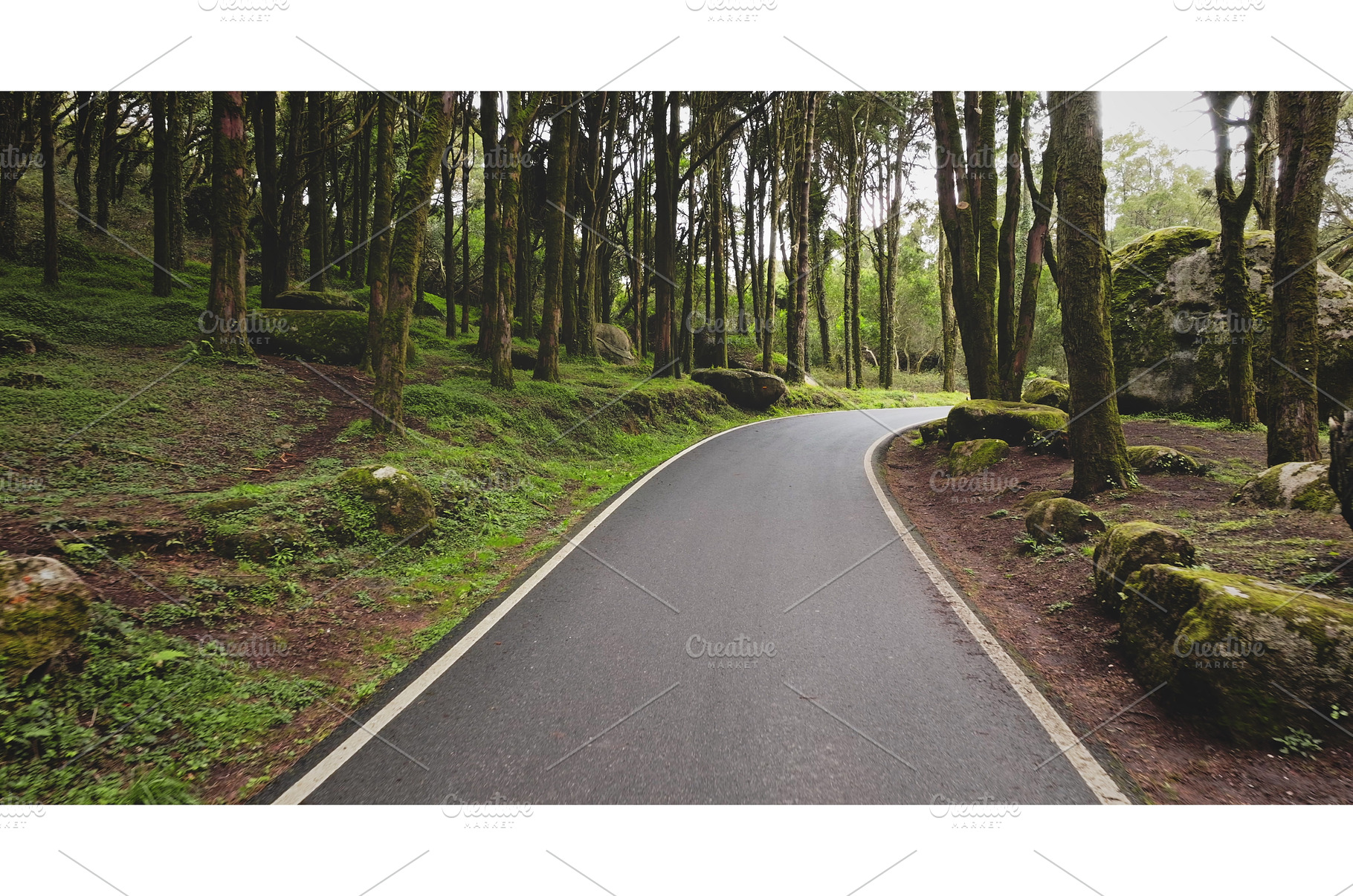 Winding road through Sintra Cascais, a Nature Photo by Goinyk