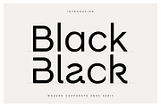 Black - Modern Corporate Sans Serif, a Sans Serif Font by Hamz Studio (Thumbnail 12 of 13)