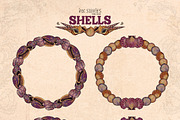 Shells, an Animal Illustration by Ink Stories (Thumbnail 5 of 21)