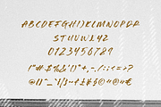 Gold Sach Brush Font, a Script Font by Pen Culture (Thumbnail 8 of 9)