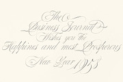 Bustra Script Pro, a Script Font by Alcode (Thumbnail 4 of 18)
