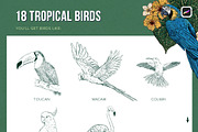 Tropical Stamp Brushes for Procreate, a Brush Add-On by Riveros Illustration (Thumbnail 4 of 14)