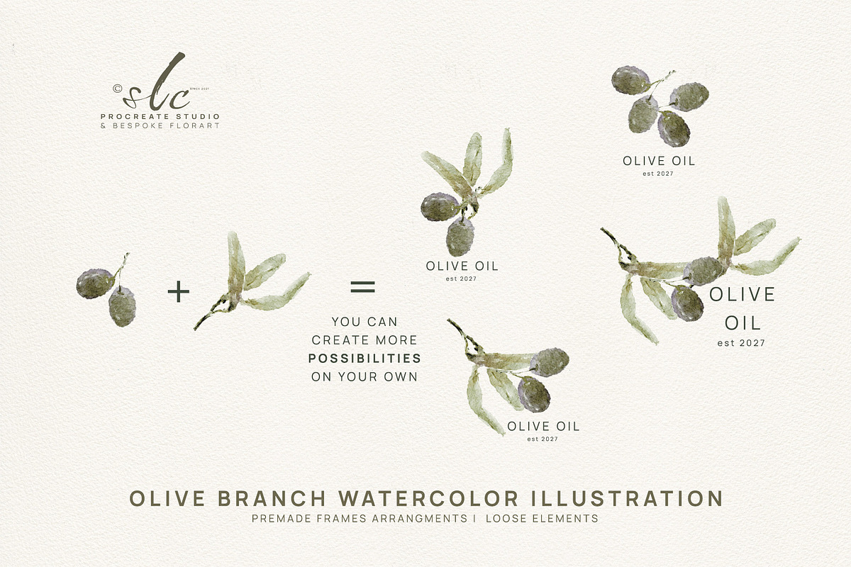 Olives Branches Watercolor, a Seasonal Illustration by slowlivecreate (Photo 1 of 5)