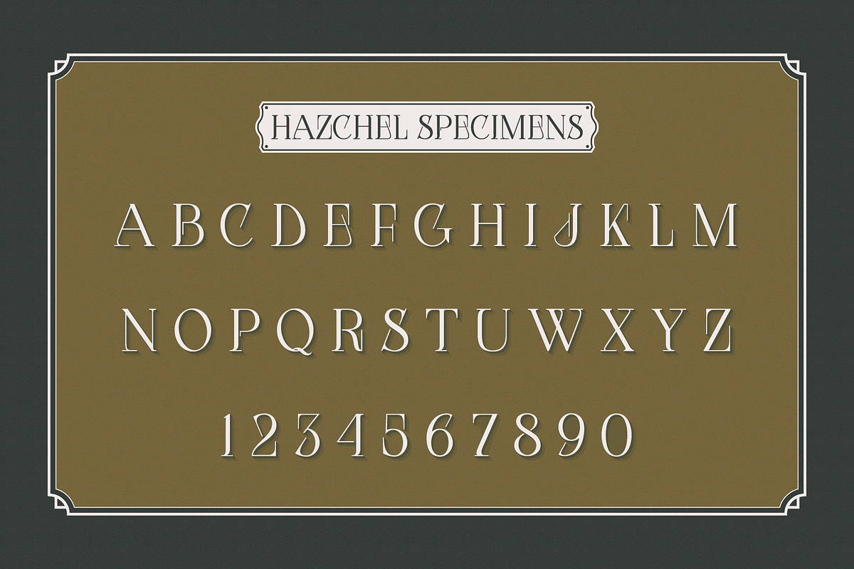 Hazchel, a Serif Font by Amera Type (Photo 8 of 11)