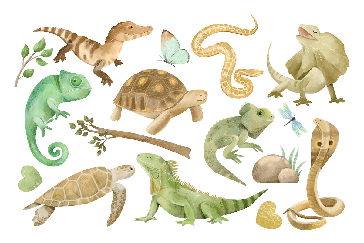 Watercolor Exotic Reptiles Clipart, an Animal Illustration by ArtGiftsStudio (Photo 2 of 4)