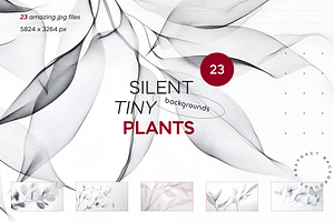 Silent Tiny Plants, a Nature Photo by Lumeno