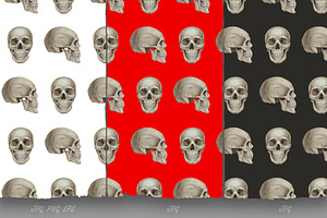 Skull Collection / Pattern Design