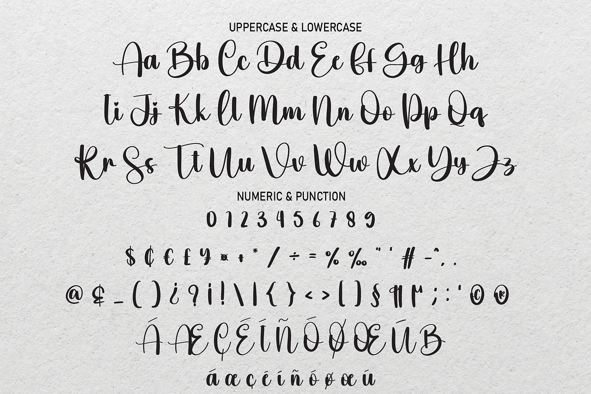 Leather | Script Font, a Script Font by Scratchones (Photo 8 of 8)