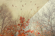 20 fineart Canvas Textures, a Texture Graphic by dyrkwyst textures (Thumbnail 3 of 4)