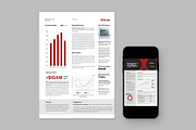 Company Fact Sheet Template, a Flyer Template by BrandPacks (Thumbnail 2 of 5)