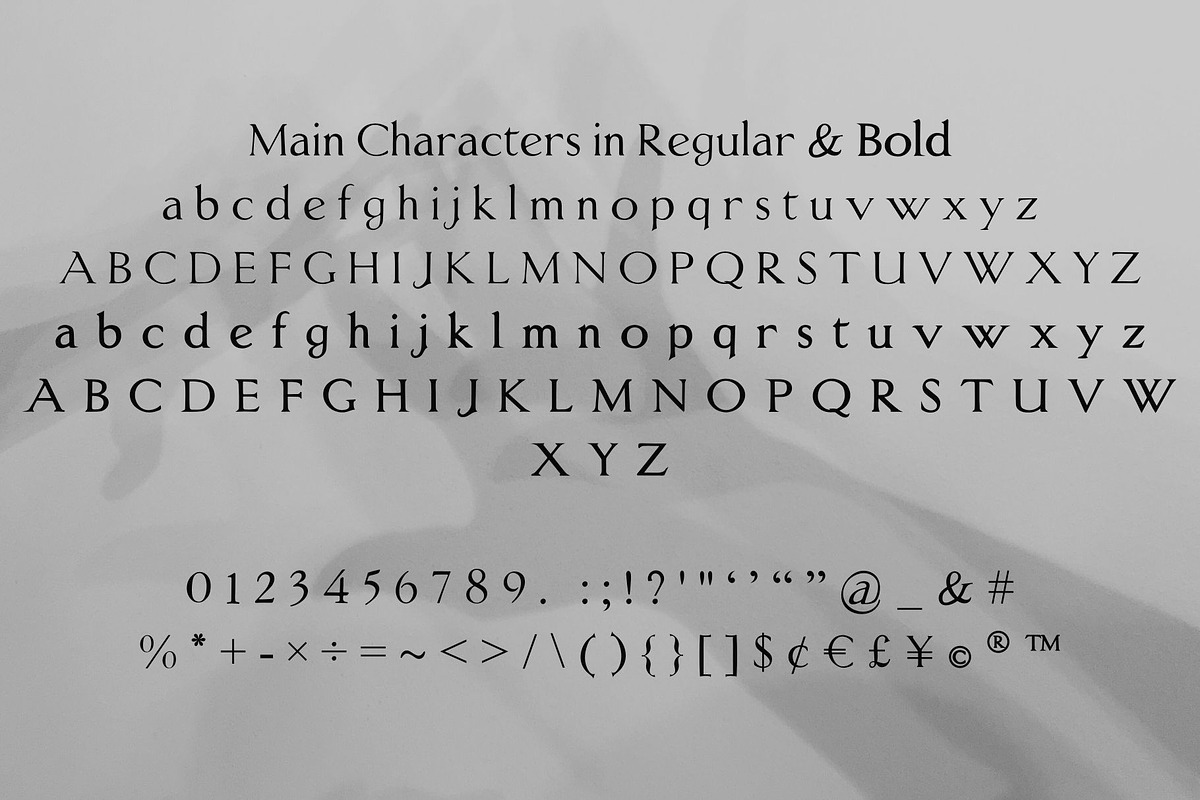 Authorial Serif Multilingual Font, a Serif Font by LunaCco Design (Photo 2 of 6)