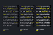 Salena – Minimalist Sans, a Sans Serif Font by Typebae (Thumbnail 9 of 12)