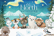 The North. Watercolor Collection, an Animal Illustration by StarJam (Thumbnail 1 of 8)