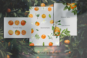 Mandarine & Orange