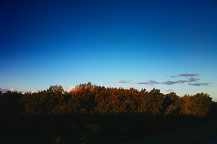 Bottom aligned autumn trees landscape backdrop, a Nature Photo by RETROWAVE '88