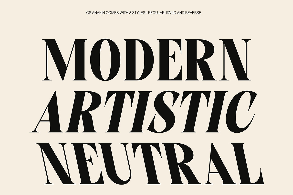 CS Anakin, a Serif Font by Craft Supply Co. (Photo 5 of 8)