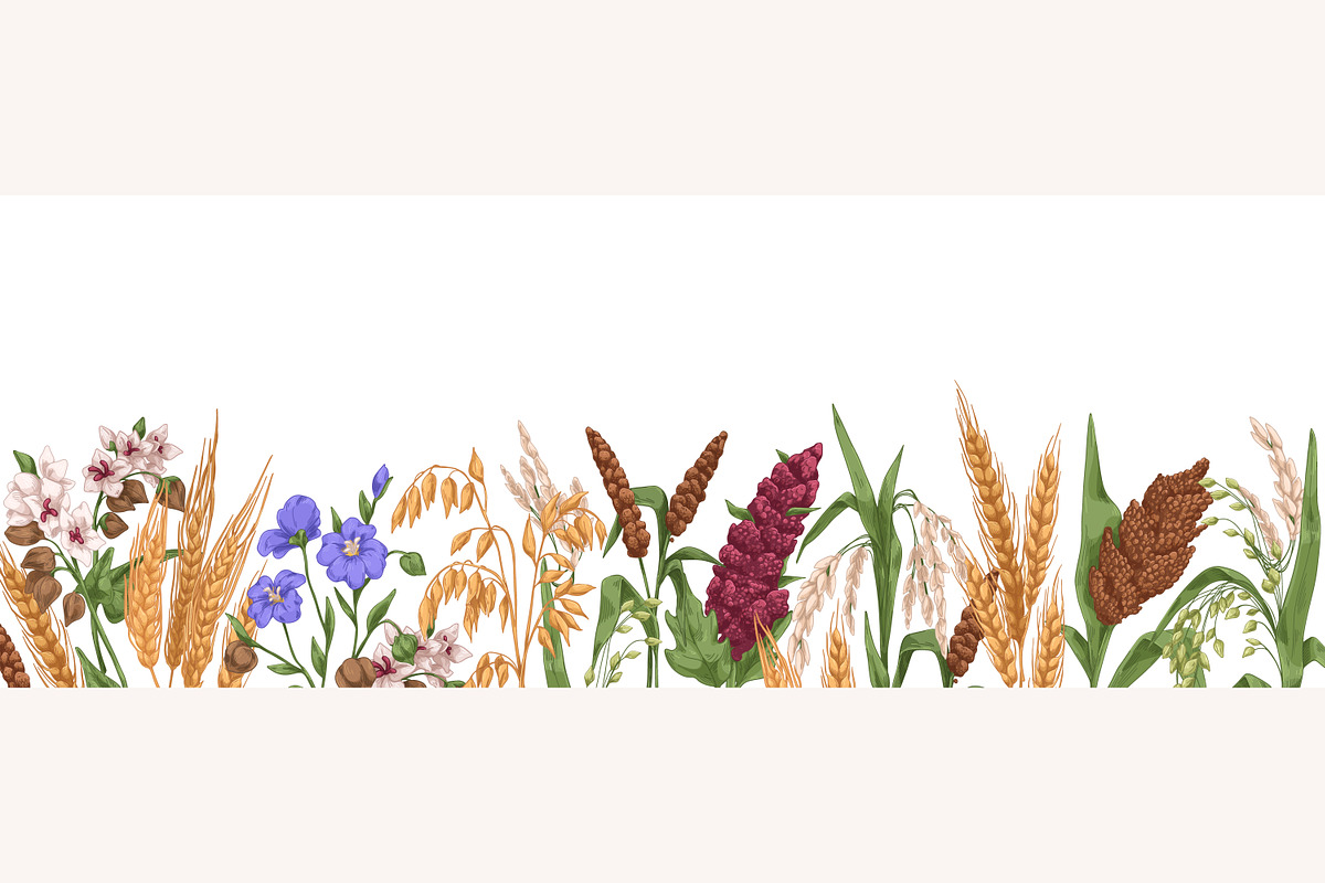 Cereal plants set + backgrounds, a Food Illustration by Good Studio (Photo 3 of 6)