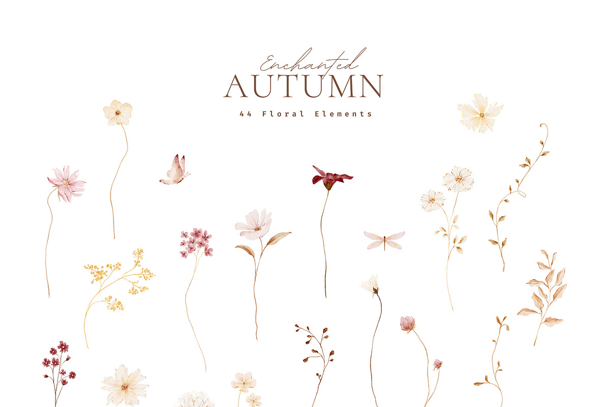 Autumn Watercolor Wildflowers, a Decorative Illustration by Altea Design Studio (Photo 2 of 11)