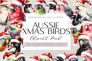 Christmas Australian Native Birds, a Seasonal Illustration by Pawcasso's Portraits