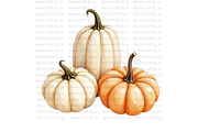 White Ghost Pumpkin, a Decorative Illustration by Bloom Craft Creations (Thumbnail 11 of 12)
