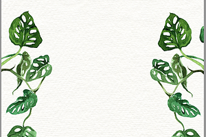 Begonia Plant Border, an Invitation Template by water + colour