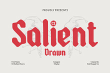 CS Salient Drawn