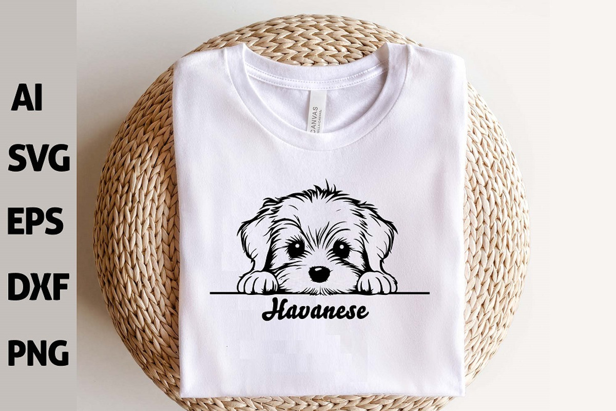 Peeking Havanese Dog Puppy Vector, an Animal Illustration by ARTify Illustrations (Photo 4 of 8)